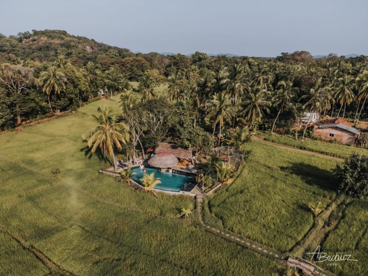 Nelu Resort Sigiriya Exterior photo